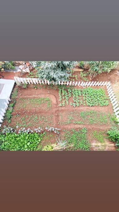 Saifarms Private Farmhouse Between Pune & Lonavala Nethersole Dam Dış mekan fotoğraf