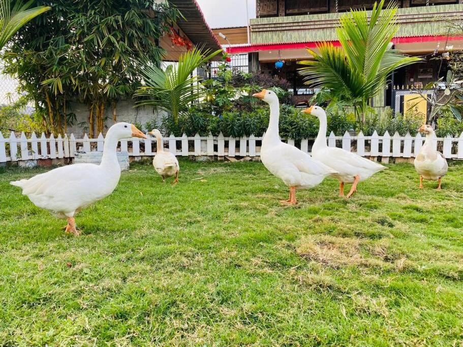 Saifarms Private Farmhouse Between Pune & Lonavala Nethersole Dam Dış mekan fotoğraf
